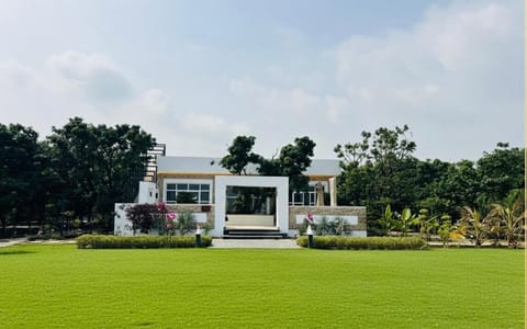 Natural landscape, Garden, Garden view