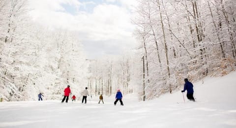 Shanty Creek Resort Bellaire Michigan Apartment hotel in Michigan