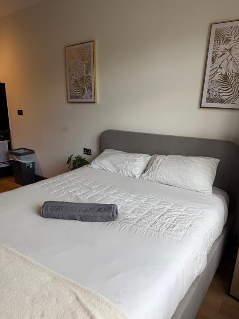 Globe Apartments M16 Apartment in Stretford