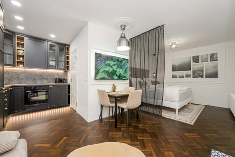 Kitchen or kitchenette, Living room, Seating area, Dining area, Bedroom, stove