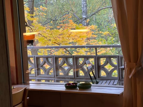 Casa Peipponen Apartment in Finland