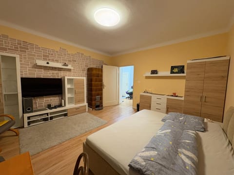 Communal lounge/ TV room, Bed, Living room, Photo of the whole room, Seating area, Evening entertainment, Bedroom, wardrobe