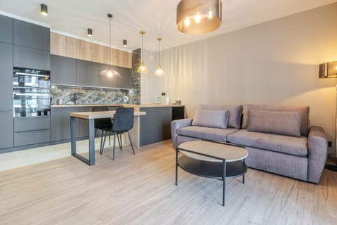 Kitchen or kitchenette, Living room, Seating area, Dining area, stove