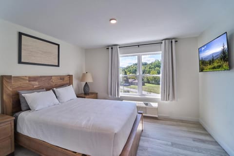 The Ruby 304 By Avada Properties Apartment in Pigeon Forge