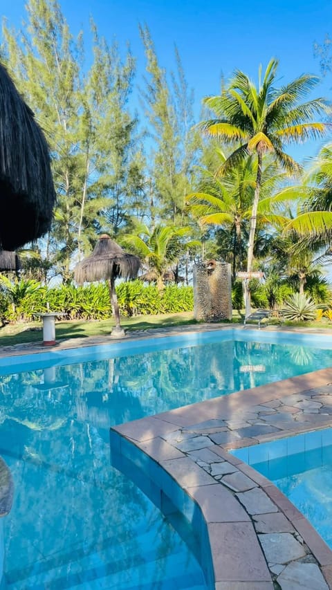 Garden, Pool view, Swimming pool
