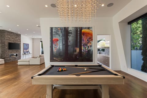 Billiard, Game Room