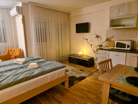 Bed, TV and multimedia, Kitchen or kitchenette, Living room, Photo of the whole room, Seating area, Dining area, Bedroom, minibar, stove