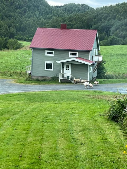 Feriehus midt mellom Tromsø og Senja House in Troms Og Finnmark