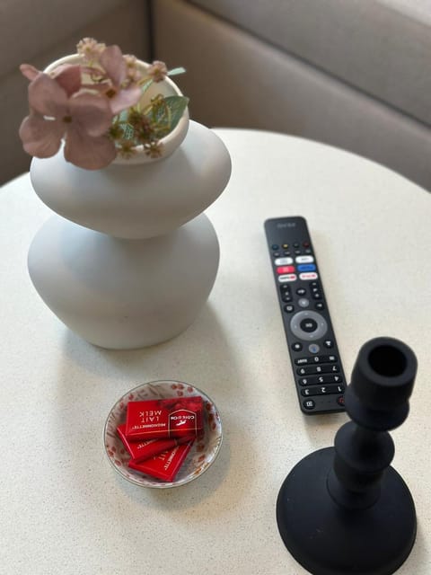 Lovely 1BR & 1LR Apartment, Only 15 Min Walk to City Center Apartment in Ghent