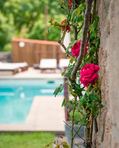 Garden, Swimming pool, sunbed