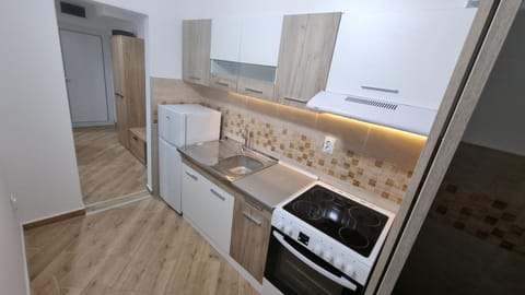 Kitchen or kitchenette, oven