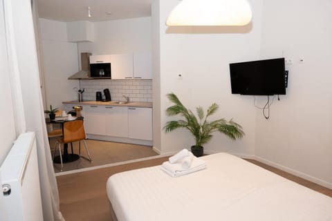 Studio 402 Avenue Louise Apartment in Saint-Gilles