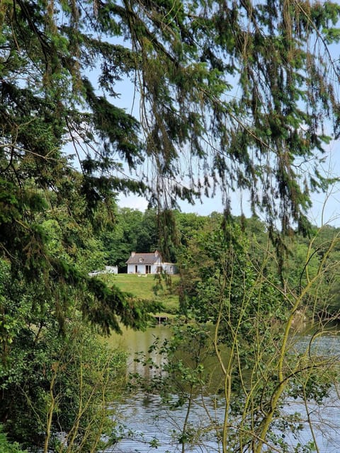 Property building, Natural landscape, Lake view