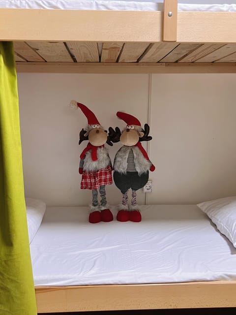 Oneone eleven hostel Hostel in Belgrade