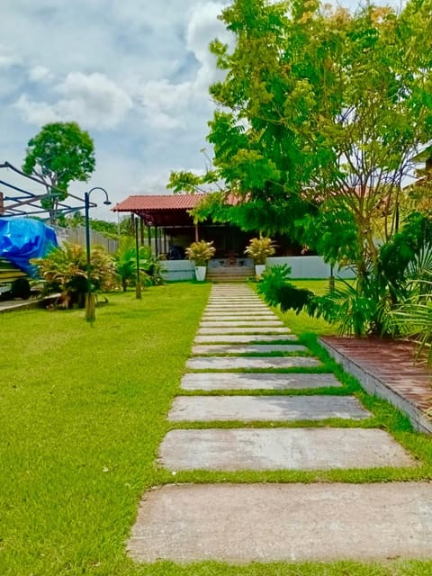 Day, Garden, Garden view
