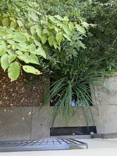 Duplex Loft Apartment Apartment in Canton of Bern (Region)