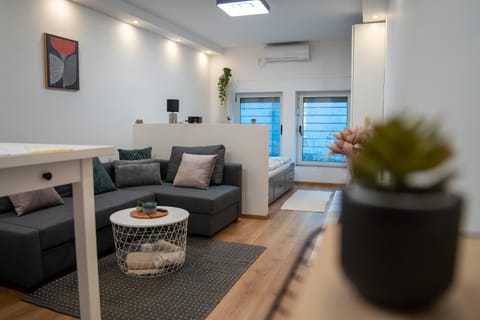 Living room, Seating area, air conditioner
