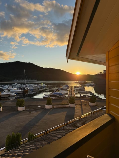 View (from property/room), Balcony/Terrace, Sunset, sunbed