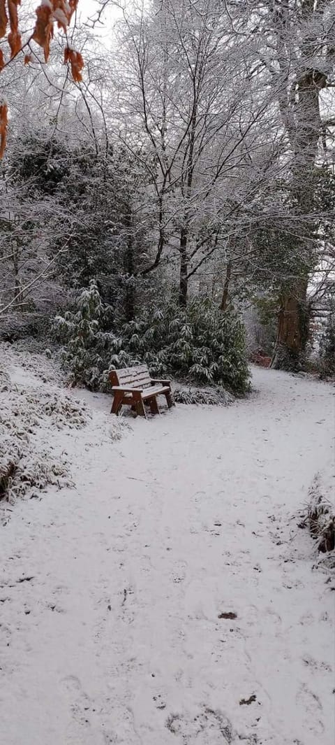 Johnny B's B&B Bed and Breakfast in County Donegal