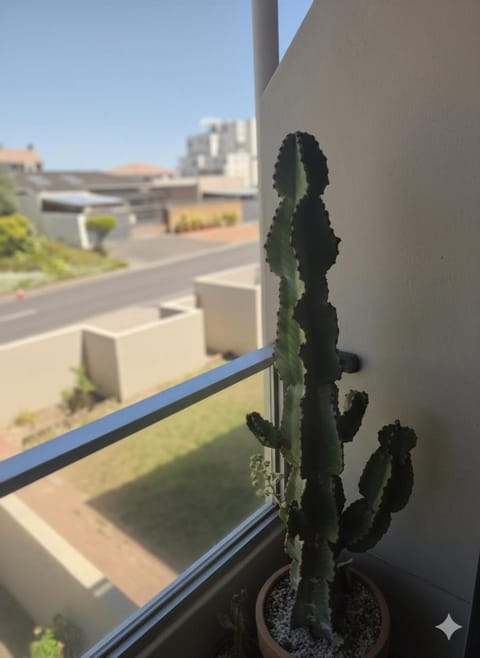 Summertide Beachside Retreat Apartment in Cape Town