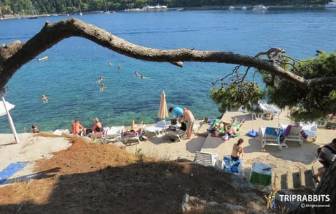 Gorgeous apartment Dora Apartment in Cavtat