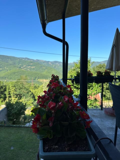 Apartman Milanović Apartment in Zlatibor District, Serbia