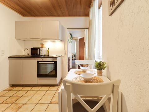 Kitchen or kitchenette, Dining area, oven, stove