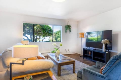 TV and multimedia, Living room, Seating area, Evening entertainment