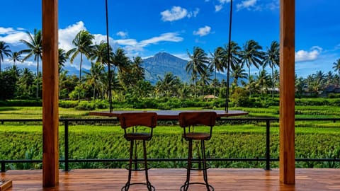Restaurant/places to eat, Seating area, Area and facilities