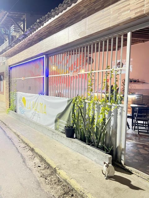 Facade/entrance, Karaoke, Drinks, Alcoholic drinks, minibar