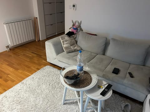 Basca Lux apartman Apartment in Sarajevo