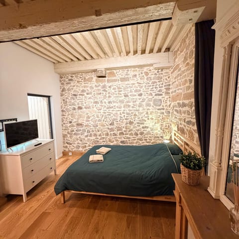 Le cosy pierre scize Apartment in Lyon