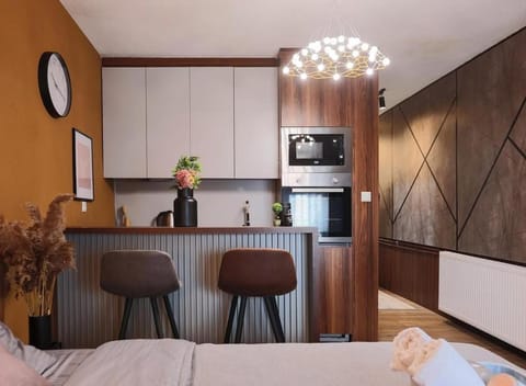 Prime space Apartment in Serbia