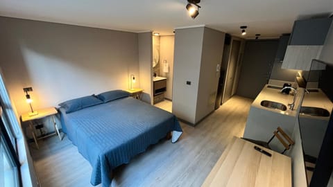 Bed, Kitchen or kitchenette, Photo of the whole room