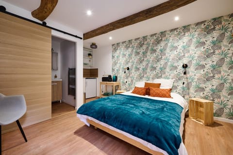 Les tuiles bourguignonnes Apartment in Dijon