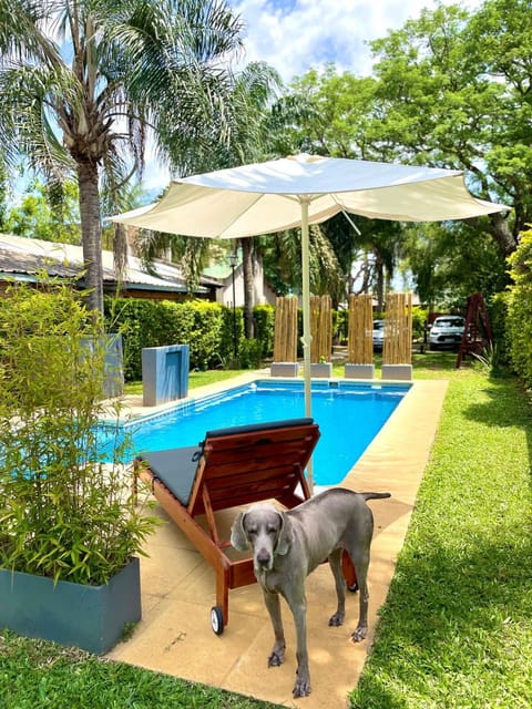 Garden, Swimming pool