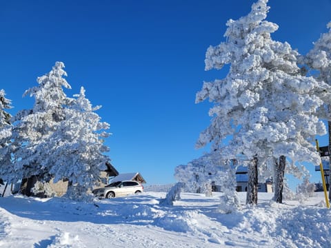 Sojka House in Zlatibor District, Serbia