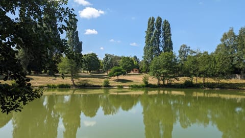 Natural landscape, Lake view