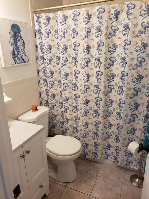 Beachside 2BR Daytona Beach Shores private home House in Daytona Beach Shores