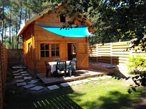 Patio, Spring, Garden, Garden view