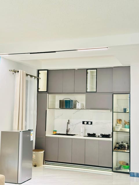 Kitchen or kitchenette, kitchen, kitchen