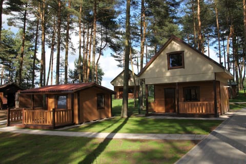Activities, Area and facilities