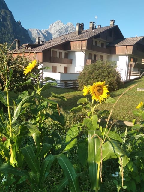 Property building, Spring, Natural landscape, Balcony/Terrace, Mountain view