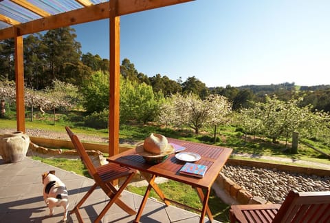 Balcony/Terrace, Garden view
