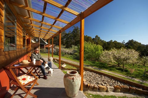 Balcony/Terrace, Garden view