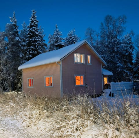 Property building, Night, Winter