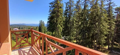 Natural landscape, View (from property/room), Balcony/Terrace, Mountain view