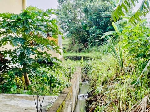 Luka's Place - 1 bedroom Hotel in Mengwi