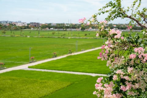 Natural landscape