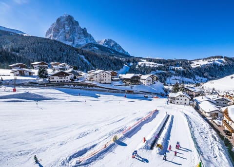 Tieja Panoramic Lodge Apartment in Sëlva